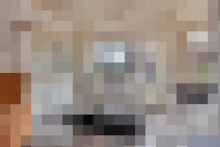 Schokkerstraat 8 Nieuw-Lekkerland thumbnail 6