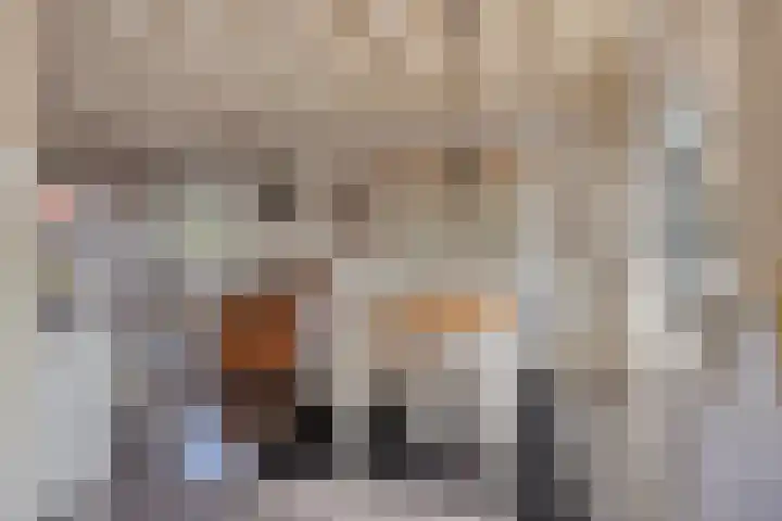 Schokkerstraat 8 Nieuw-Lekkerland thumbnail 7