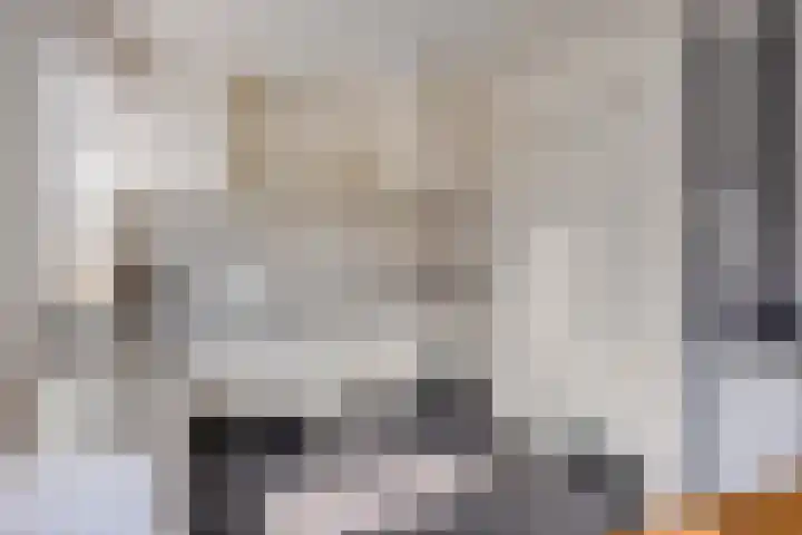 Schokkerstraat 8 Nieuw-Lekkerland thumbnail 8