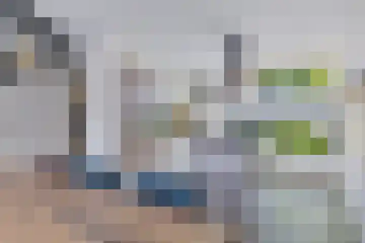 Schokkerwal 24 Emmeloord thumbnail 10