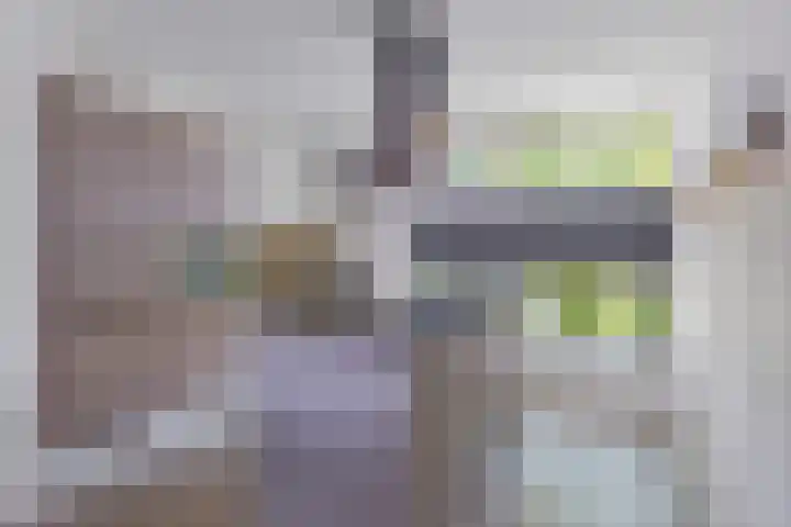 Schokkerwal 24 Emmeloord thumbnail 11