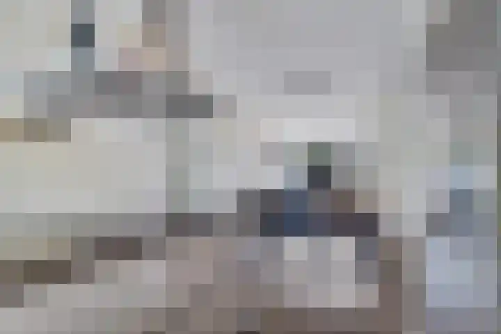 Schokkerwal 24 Emmeloord thumbnail 13