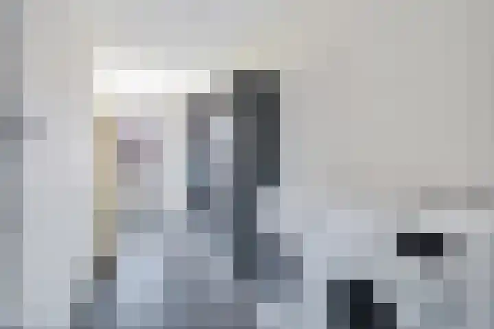 Schokkerwal 24 Emmeloord thumbnail 19