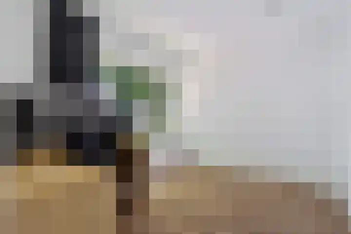 Schokkerwal 24 Emmeloord thumbnail 20