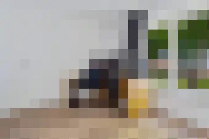 Schokkerwal 24 Emmeloord thumbnail 21