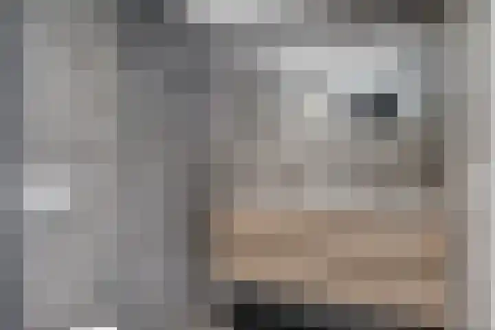 Schokkerwal 24 Emmeloord thumbnail 24