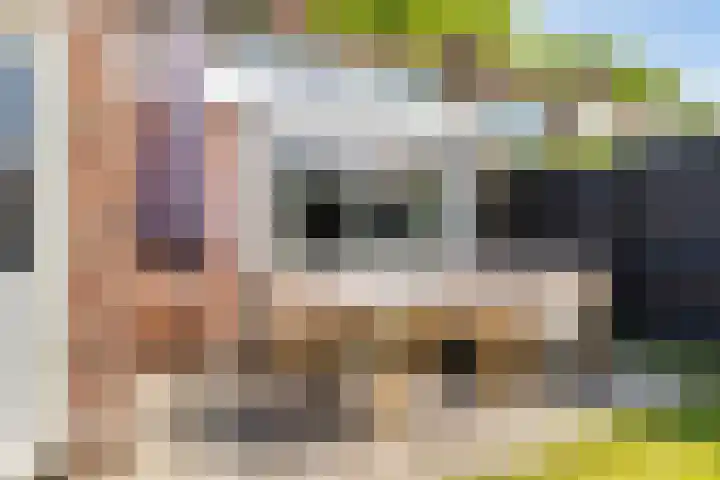 Schokkerwal 24 Emmeloord thumbnail 27