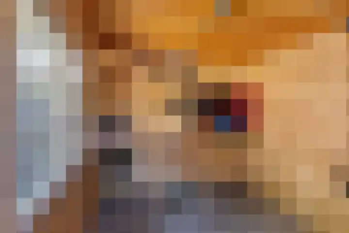 Schokkerwal 24 Emmeloord thumbnail 30
