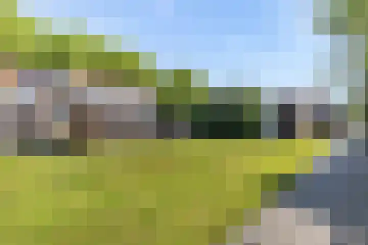 Schokkerwal 24 Emmeloord thumbnail 31
