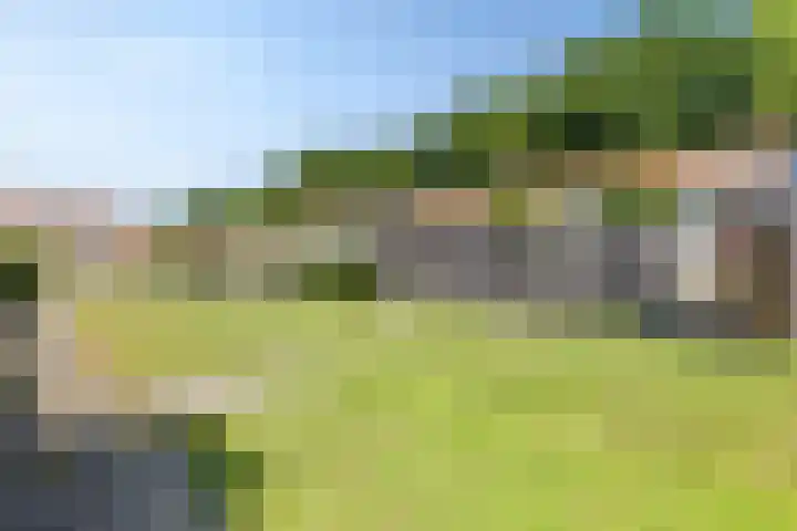 Schokkerwal 24 Emmeloord thumbnail 32
