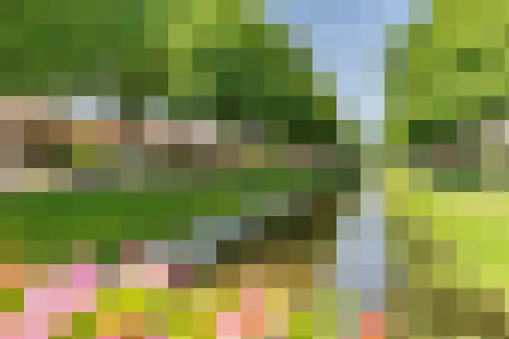 Schokkerwal 24 Emmeloord thumbnail 5
