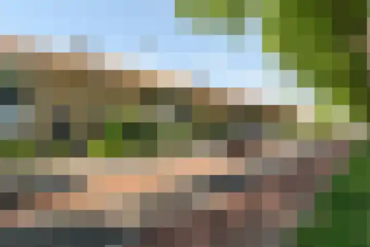 Schokkerwal 24 Emmeloord thumbnail 6