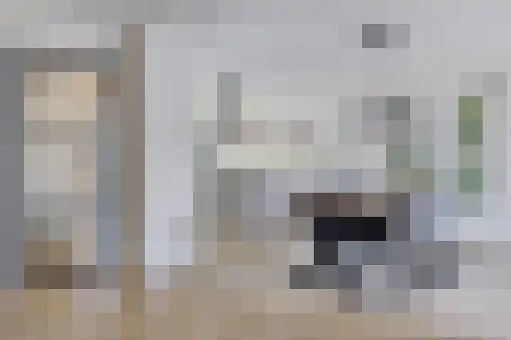 Schokkerwal 24 Emmeloord thumbnail 8