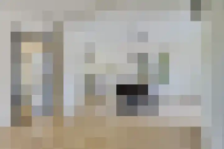 Schokkerwal 24 Emmeloord thumbnail 9
