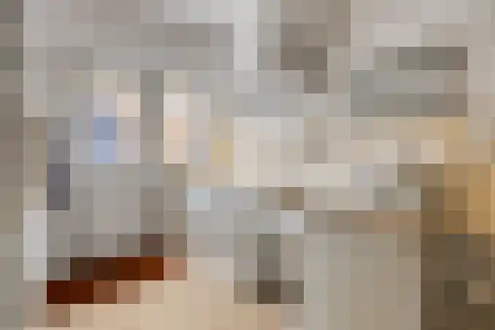 Schokkerwal 3 Emmeloord thumbnail 15