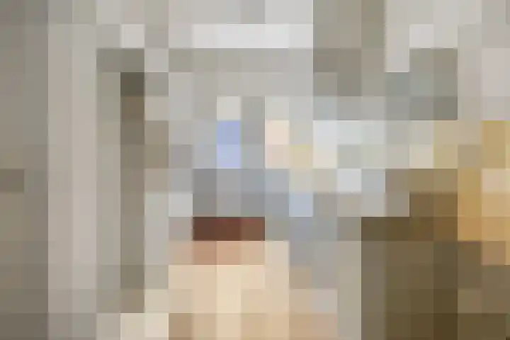 Schokkerwal 3 Emmeloord thumbnail 16