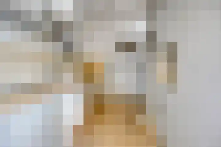 Schokkerwal 3 Emmeloord thumbnail 17