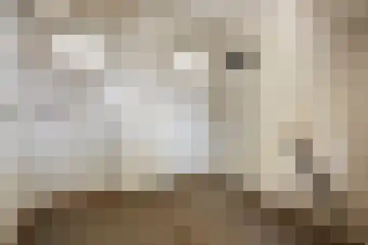 Schokkerwal 3 Emmeloord thumbnail 20