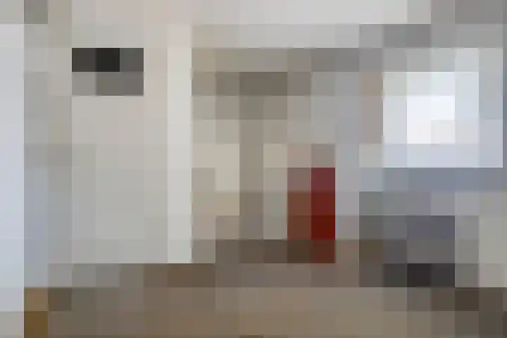 Schokkerwal 3 Emmeloord thumbnail 21