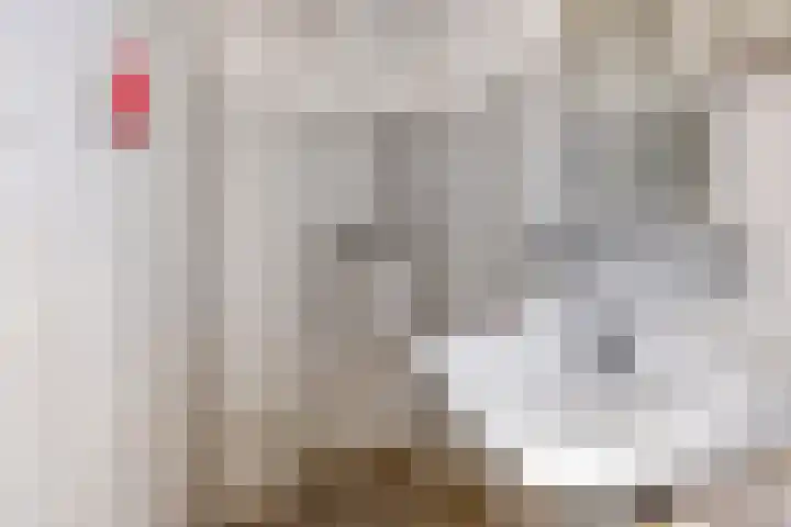Schokkerwal 3 Emmeloord thumbnail 24