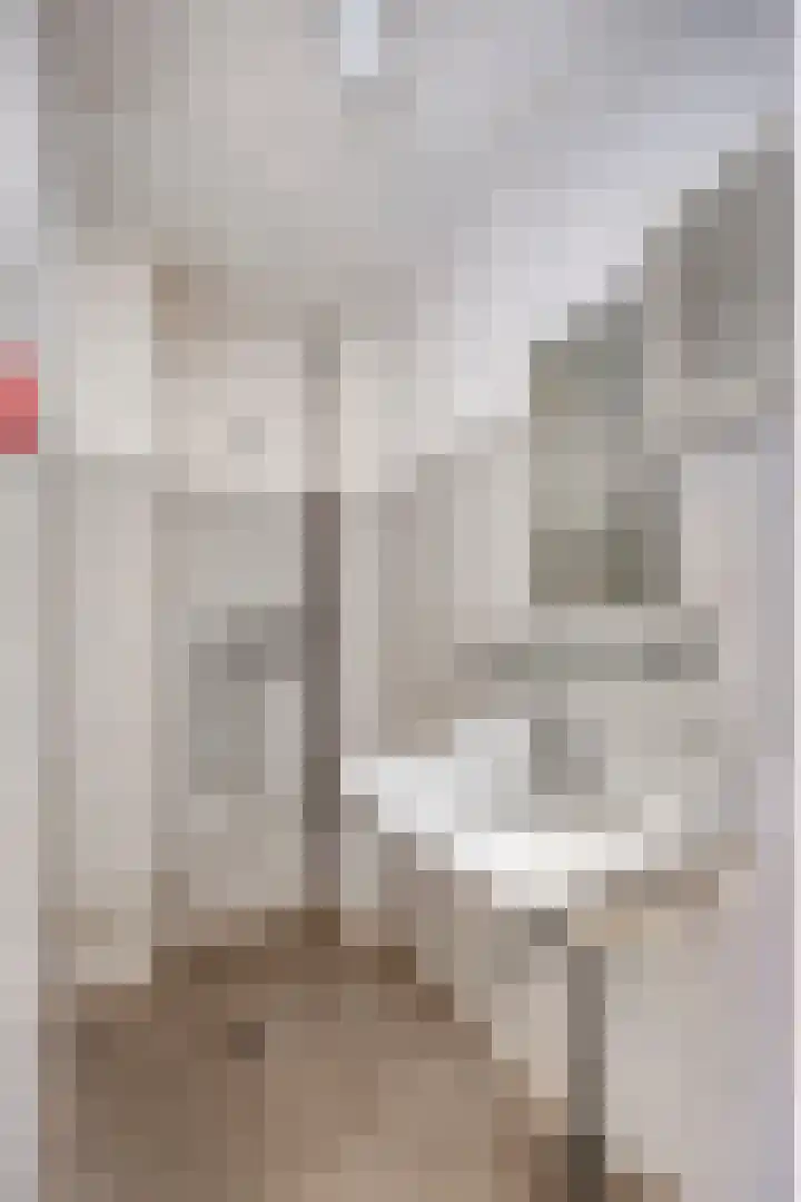 Schokkerwal 3 Emmeloord thumbnail 26