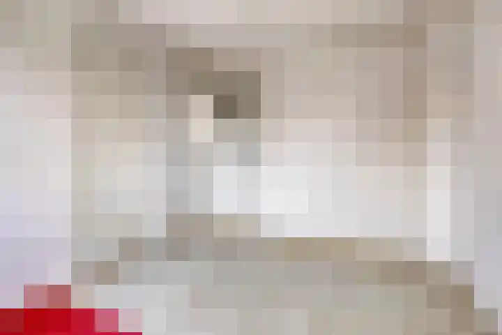 Schokkerwal 3 Emmeloord thumbnail 28