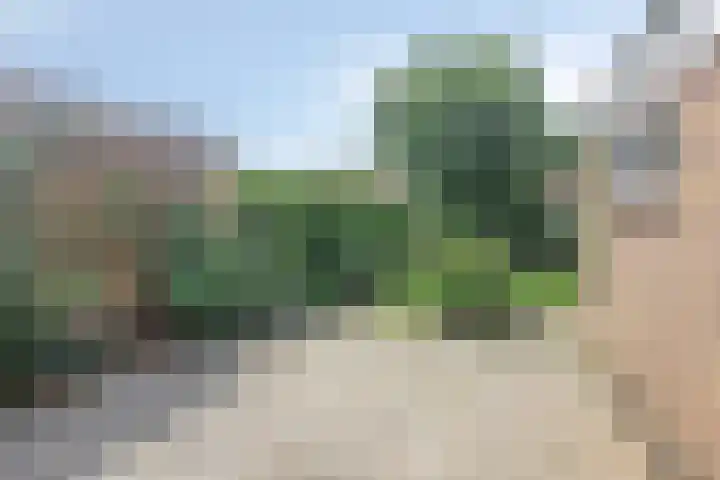 Schokkerwal 3 Emmeloord thumbnail 31