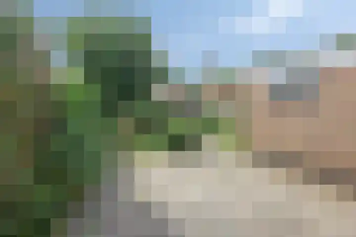 Schokkerwal 3 Emmeloord thumbnail 32