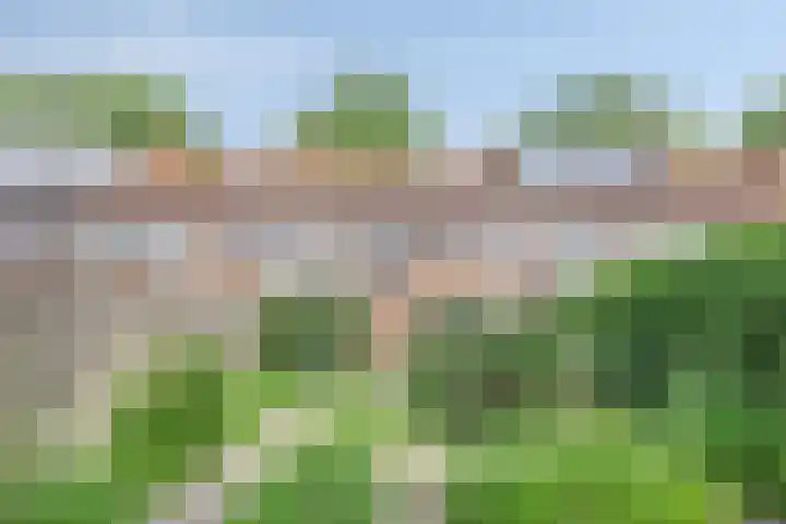Schokkerwal 3 Emmeloord thumbnail 34