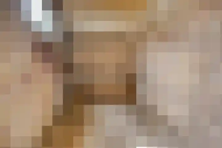 Schokkerwal 3 Emmeloord thumbnail 38