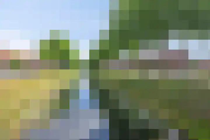 Schokkerwal 3 Emmeloord thumbnail 39
