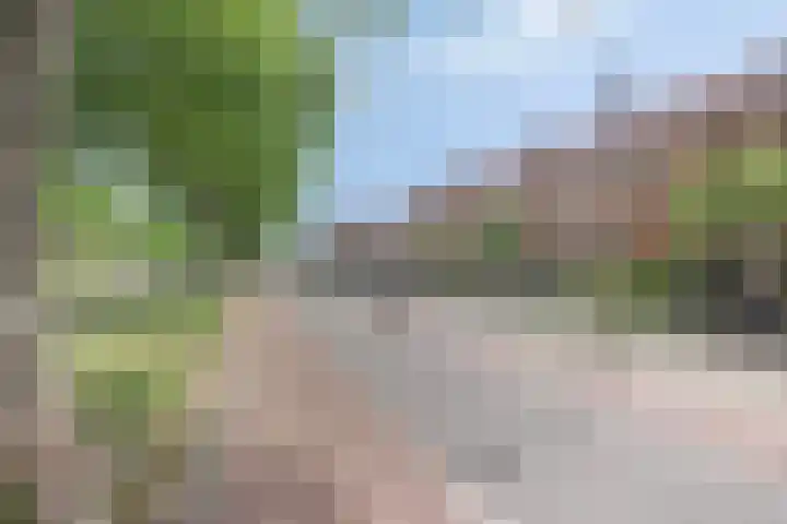 Schokkerwal 3 Emmeloord thumbnail 4