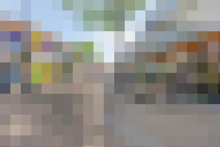 Schokkerwal 3 Emmeloord thumbnail 41