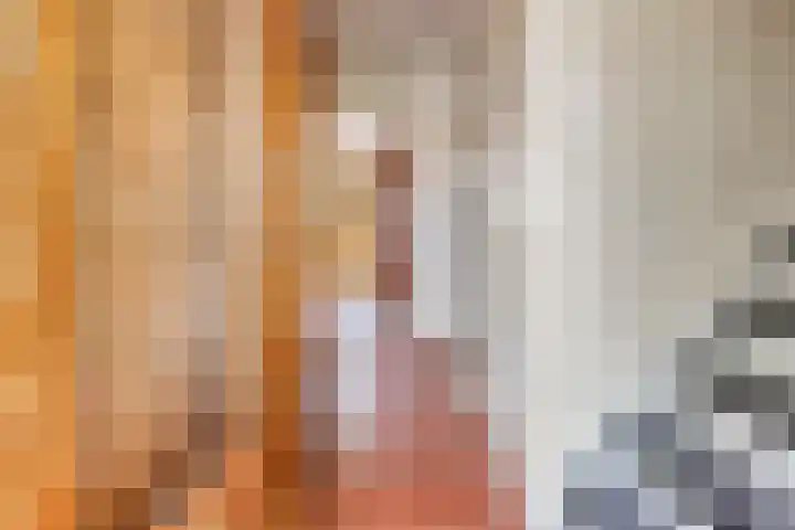 Schokkerwal 3 Emmeloord thumbnail 7