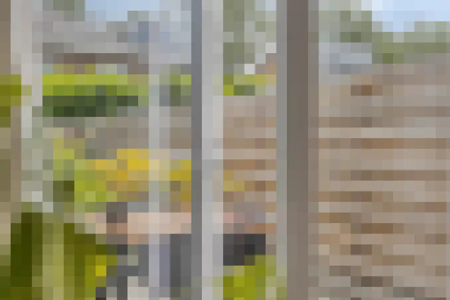 Schokkerweg 10 Makkum thumbnail 17