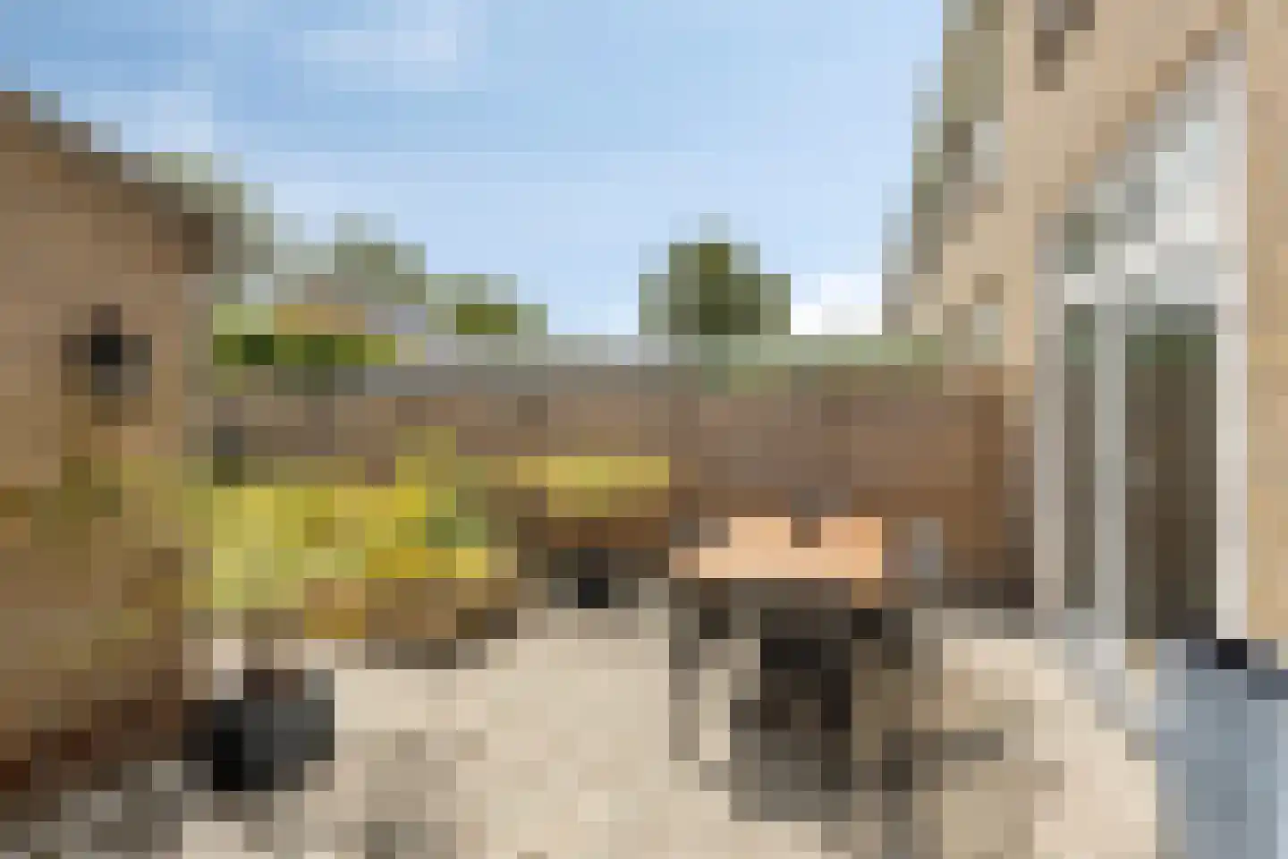 Schokkerweg 10 Makkum thumbnail 4