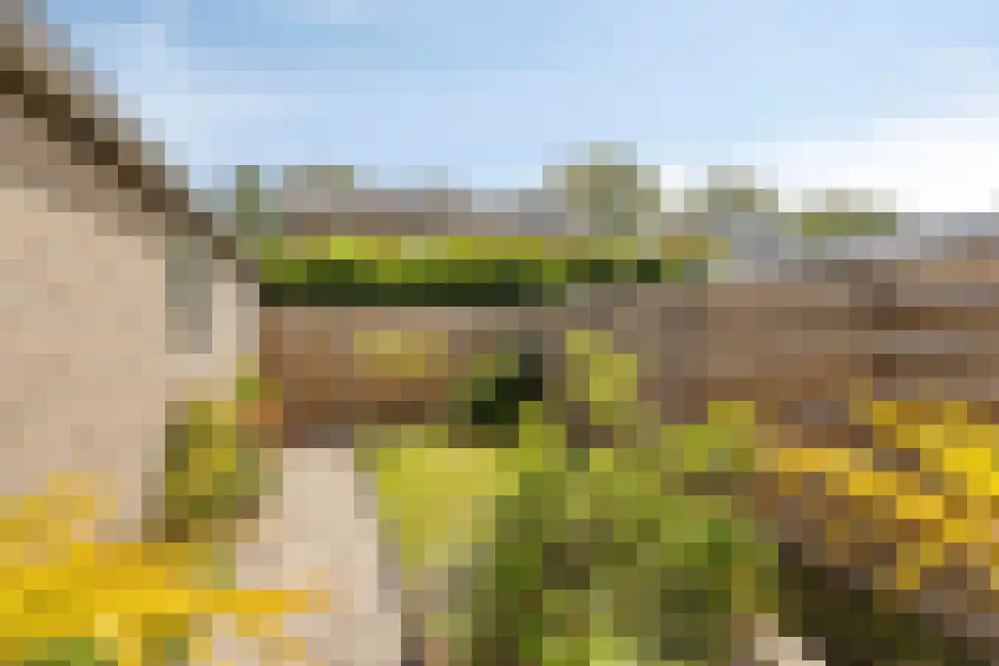 Schokkerweg 10 Makkum thumbnail 6