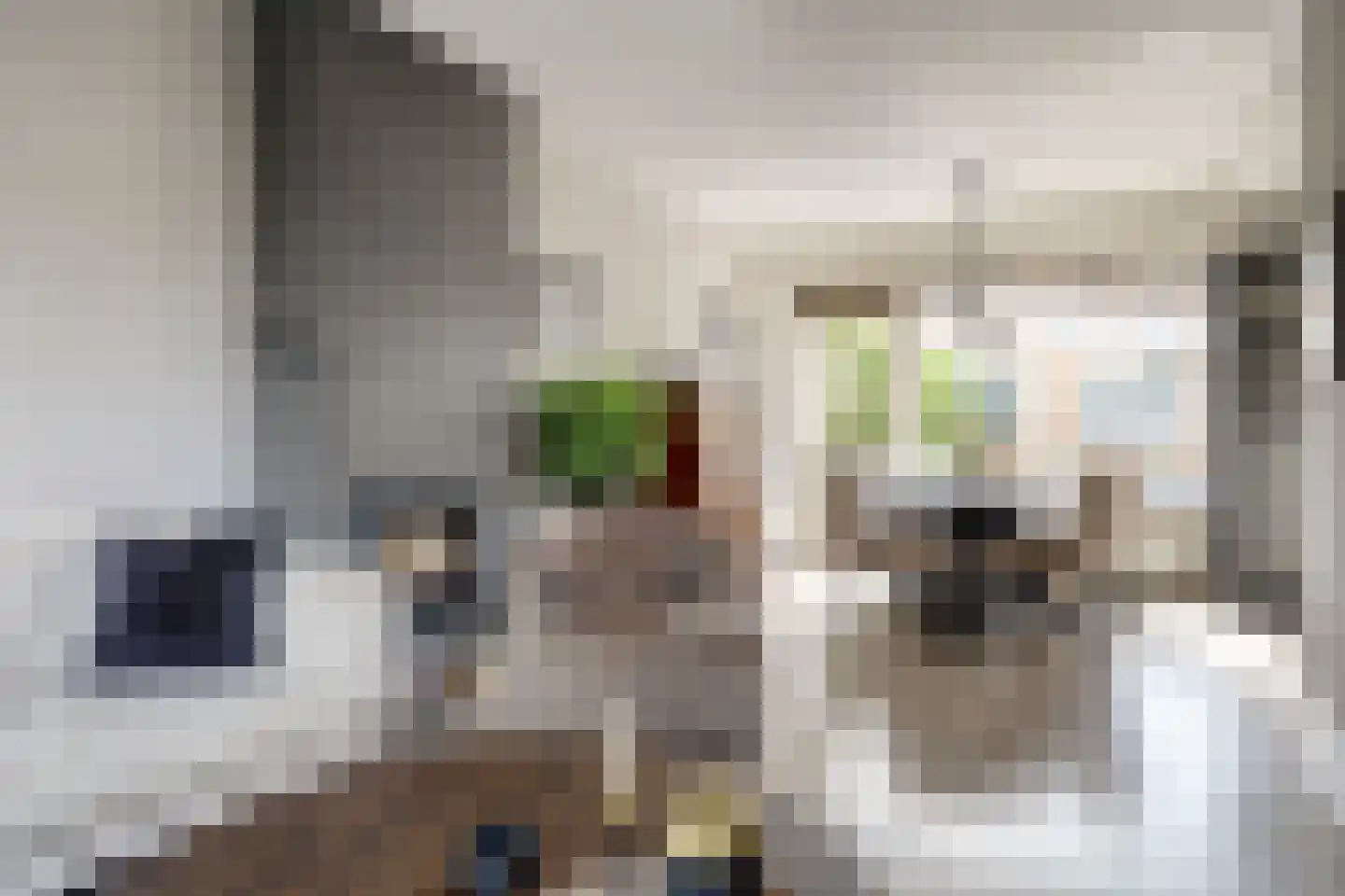 Schokkingstraat 1 Katwijk thumbnail 16