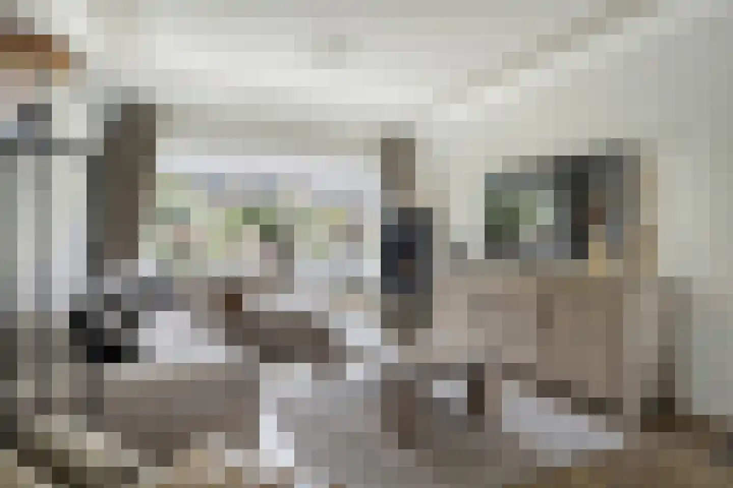 Schokkingstraat 6 Katwijk thumbnail 13
