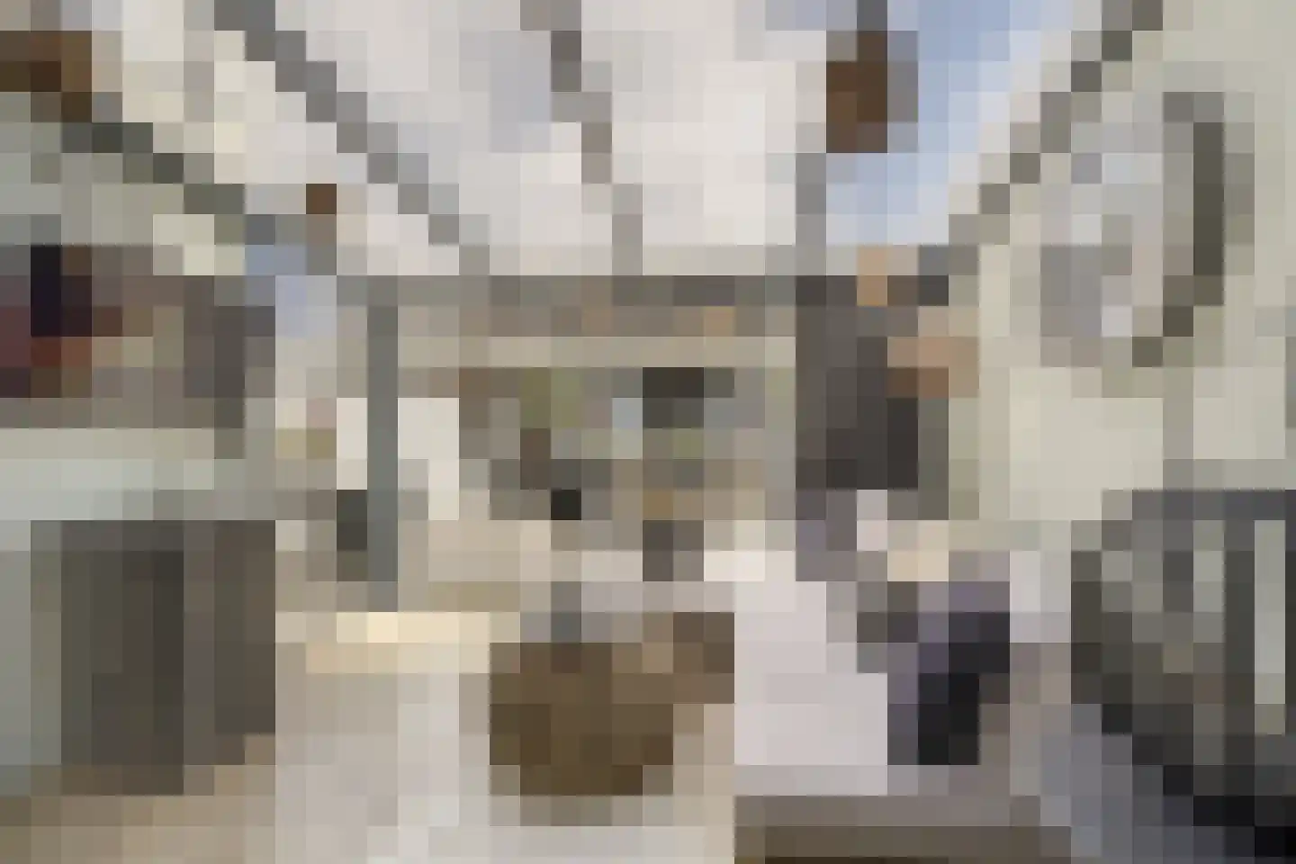 Schokkingstraat 6 Katwijk thumbnail 22