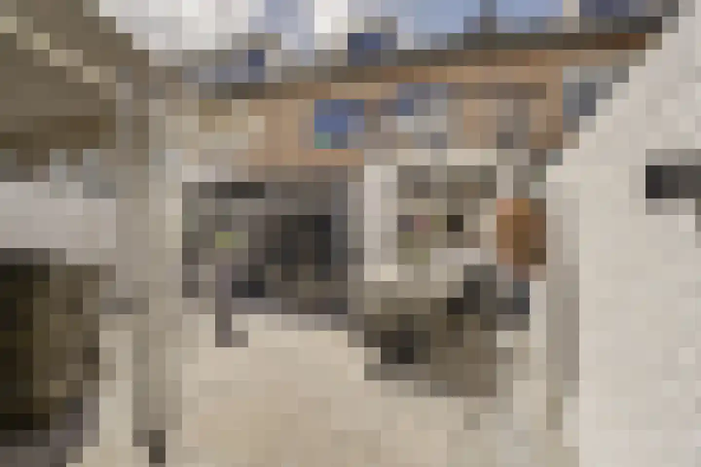 Schokkingstraat 6 Katwijk thumbnail 26