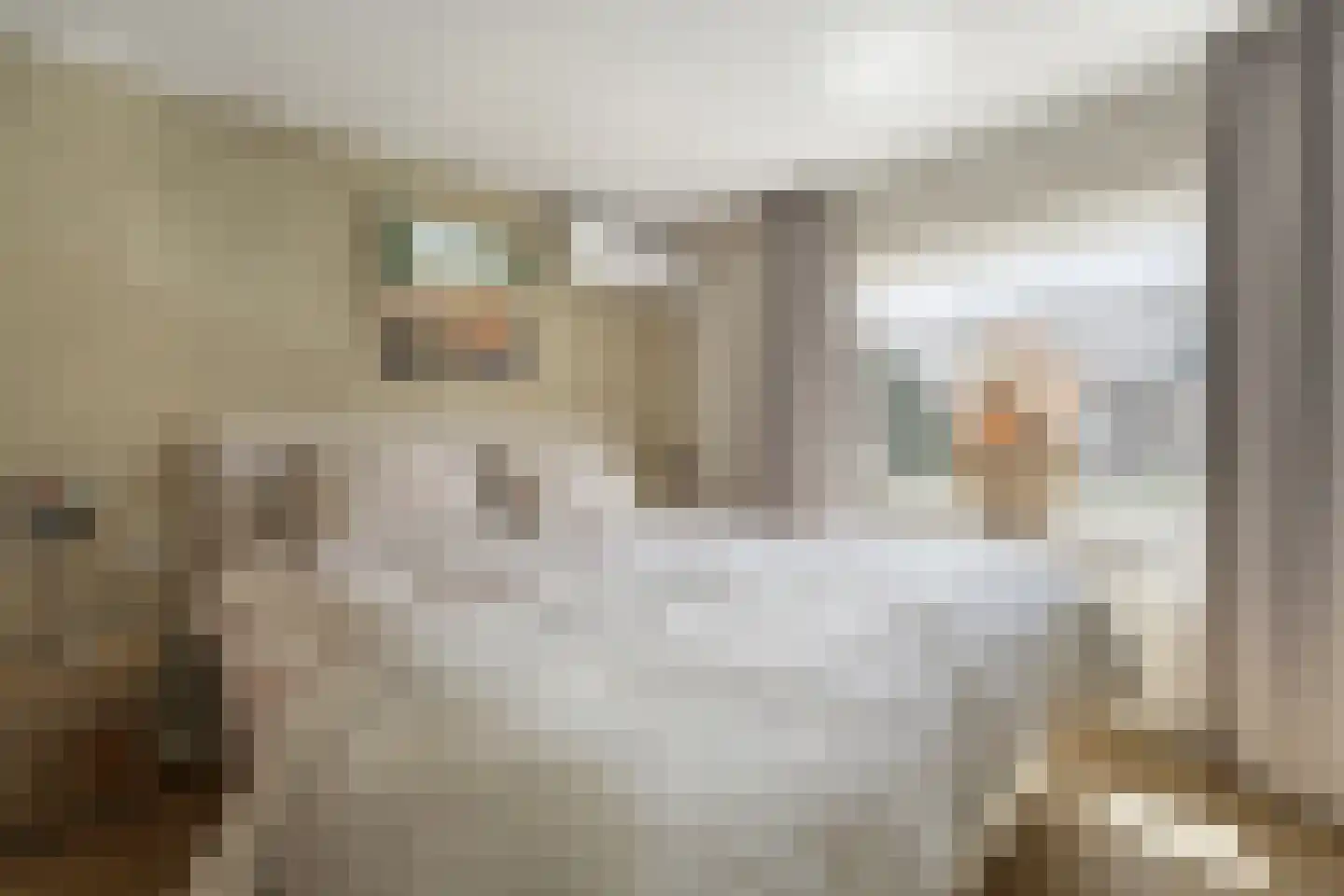 Schokkingstraat 6 Katwijk thumbnail 32