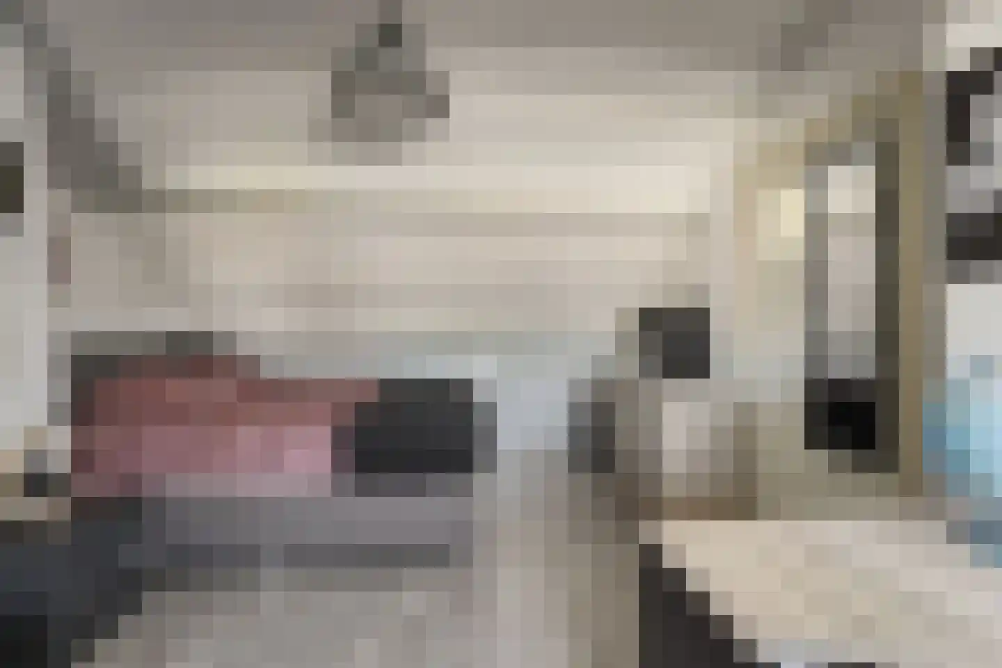 Schokkingstraat 6 Katwijk thumbnail 43