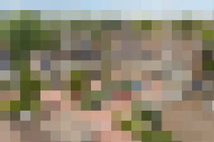 Schokland 25 in Zoetermeer