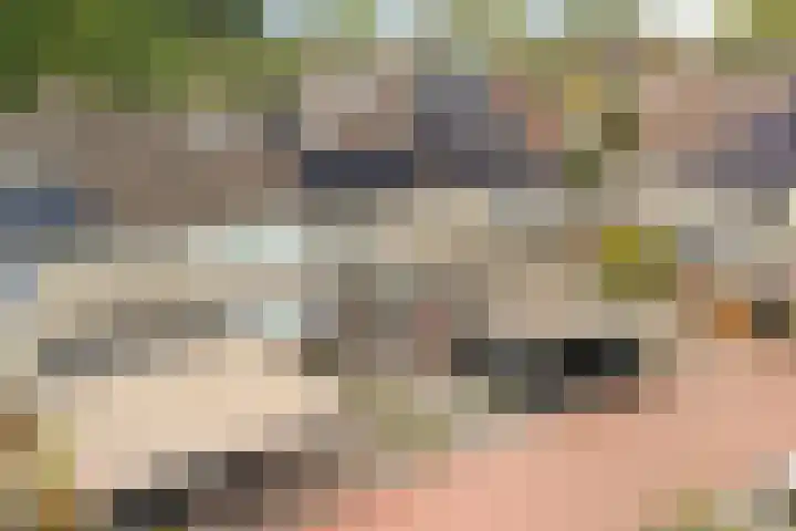 Schokland 25 Zoetermeer thumbnail 12