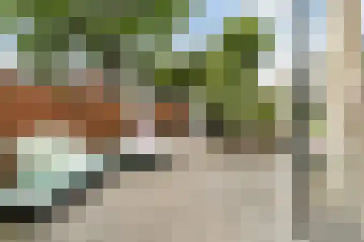 Schokland 25 Zoetermeer thumbnail 39