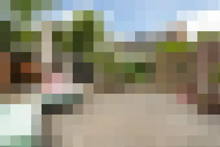 Schokland 25 Zoetermeer thumbnail 4