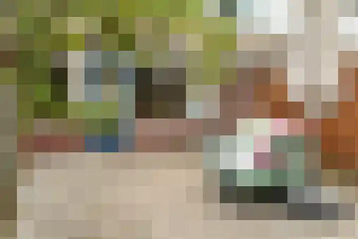 Schokland 25 Zoetermeer thumbnail 42