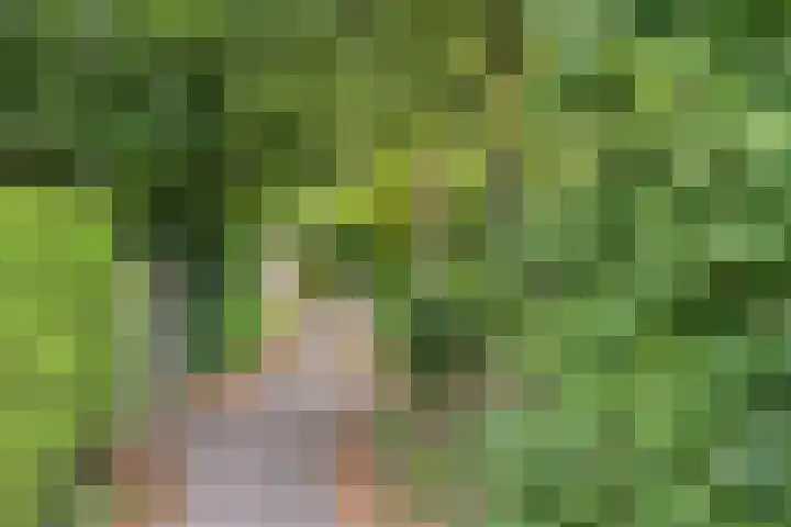 Schokland 25 Zoetermeer thumbnail 44
