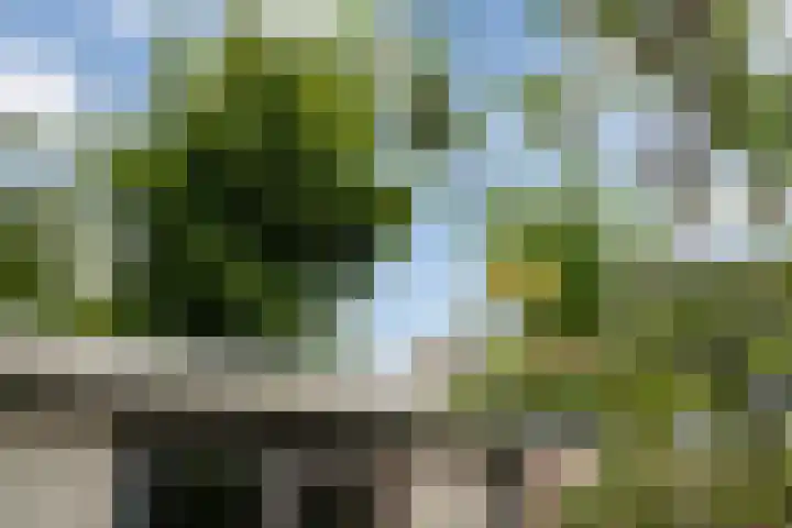 Schokland 25 Zoetermeer thumbnail 45